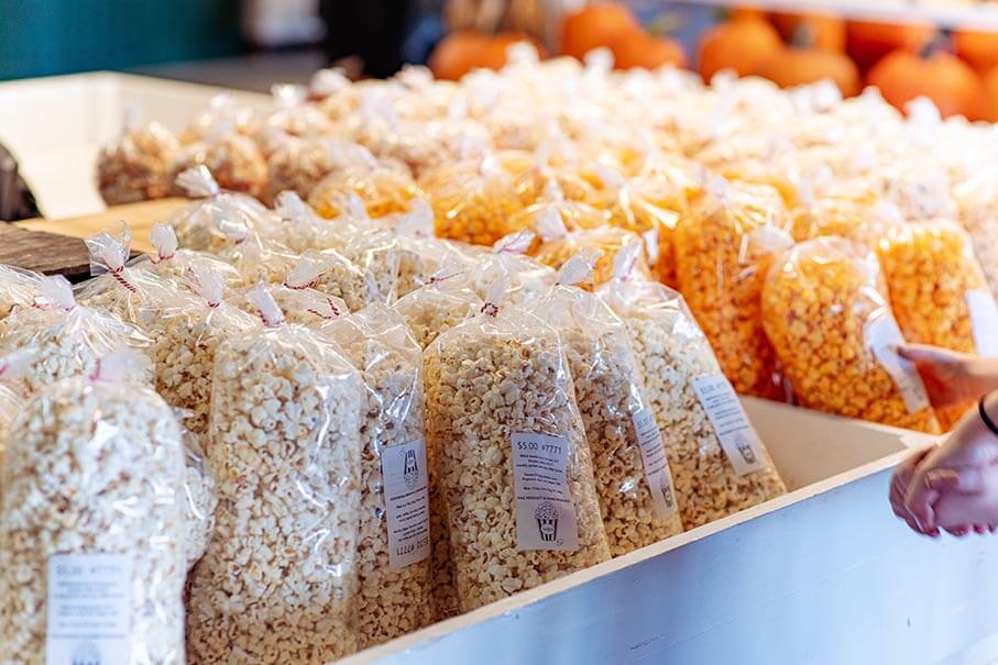 Carmel corn popcorn and regular popcorn available at the Pumpkin Palooza